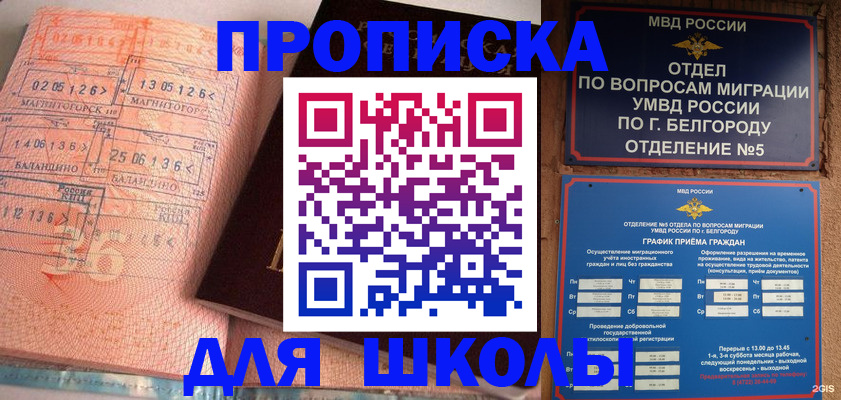 прописка иностранных граждан в Навашино